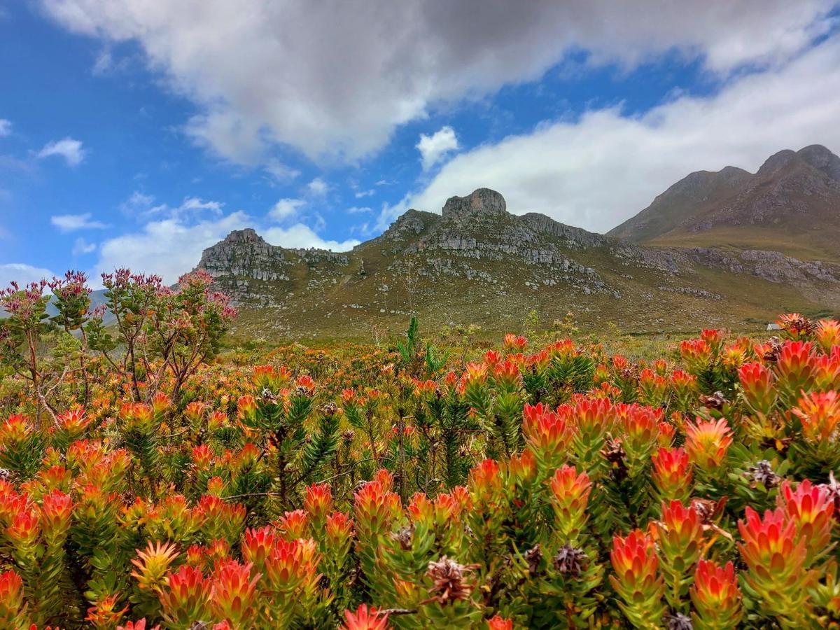 La Mer Seafront Selfcatering Accommodation Kleinmond Exterior foto